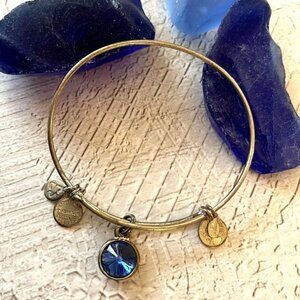 Alex and Ani Saphire Birthstone Bracelet Silver Tone